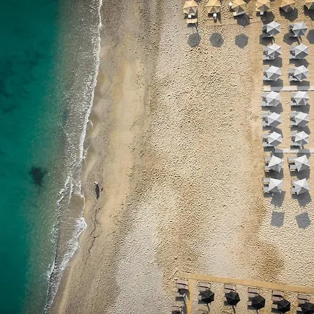 فندق أجنحة بايو الفندقية